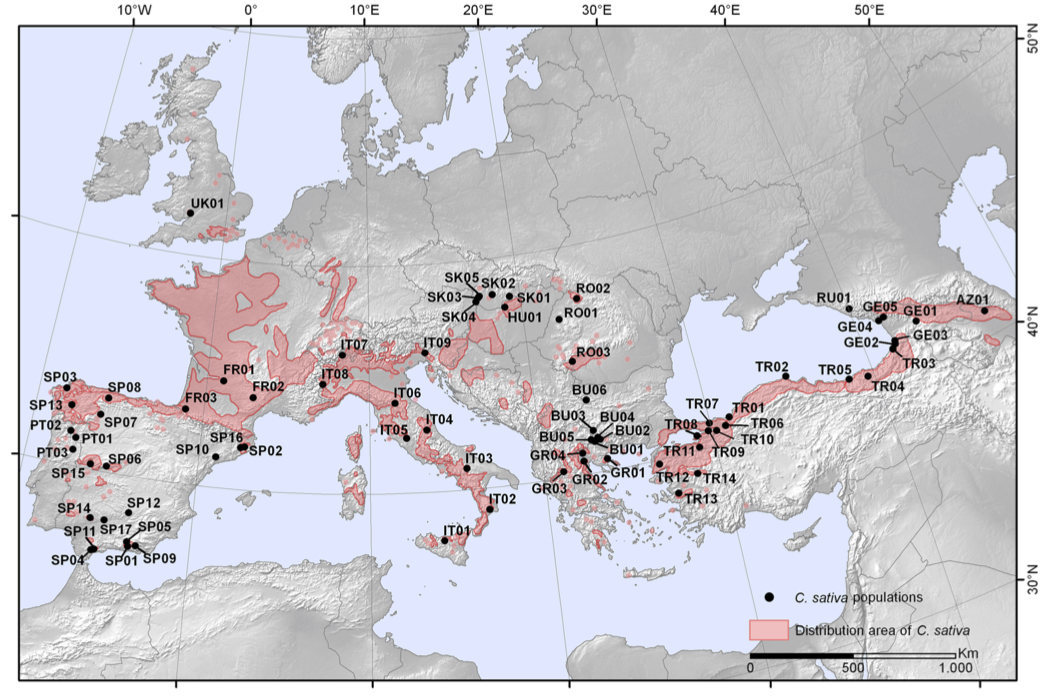 Figura 1. Popolazioni genetiche di castagno oggetto della ricerca. Le aree evidenziate in rosso sono le aree castanicole (Mattioli et al., 2017)