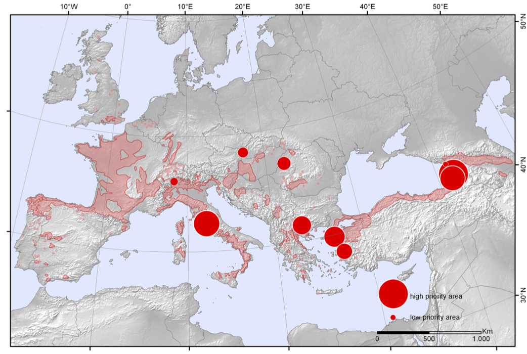 Figura 2. Indicazione dei paesi considerati prioritari per la conservazione genetica del patrimonio castanicolo. La dimensione della circonferenza rossa indica il livello di importanza (Mattioni et al., 2017)